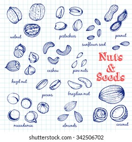 Vector Set of  Nuts and Seeds for design menus, recipes and packages product