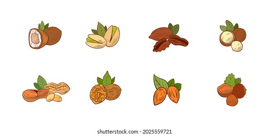 Vector Set of Nuts and Seeds Icons. Pistachio, Cashew, Hazelnut, Walnut, Pecan, Coconut, Peanut, Macadamia Nut, Almond in Vintage Cartoon Style Isolated on White Background.