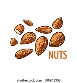 Vector set of nuts with text. Isolated on white background. Can be used for some product.