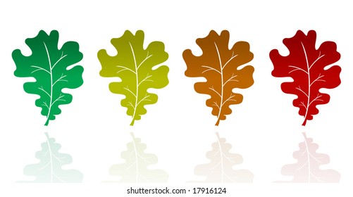 Vector set Oak leaves