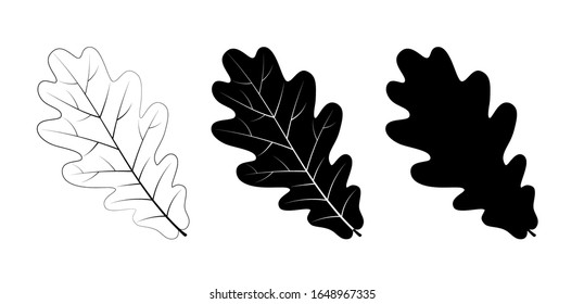 Vector set of oak leaves, outline and silhouette.