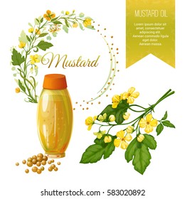 Vector set of objects on mustard, its fruits and its application. Mustard oil. Background and Label. Achieved in a realistic stile. Objects isolated