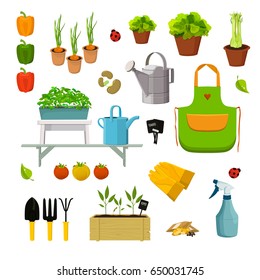 Vector set of objects related to gardening. Seedlings and plants in pots, in special  crates, vegetables, seeds and garden tools