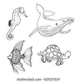 Vector set of ocean animals. Hand drawn underwater cartoon creatures. Seahorse, whale, fish, turtle. Sea life illustration.