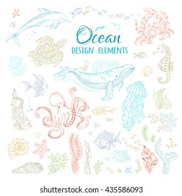 Vector set of ocean animals and plants. Colourful contours isolated on white. Whale, octopus, dolphin, turtle, fish, starfish, crab, shell, jellyfish, seahorse, seaweed. Underwater sea life.