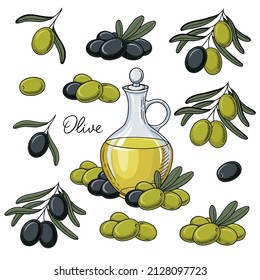Vector set of oil bottle and green and black olives. Hand drawn illustration, Food Clipart - olives and olive oil