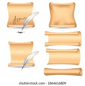 vector set - old  paper and feathers