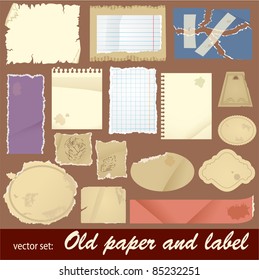 vector set: old paper and label. Vintage elements of digital scrapbooking