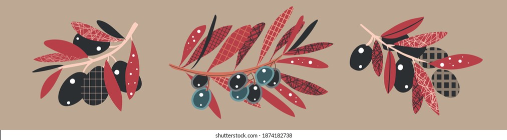 vector set olive branch with abstract texture