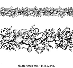 Vector set  with olive handrown elements on white.  Editable set for packaging design with olive branches.