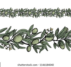 Vector set  with olive handrown elements on white.  Editable set for packaging design with olive branches.