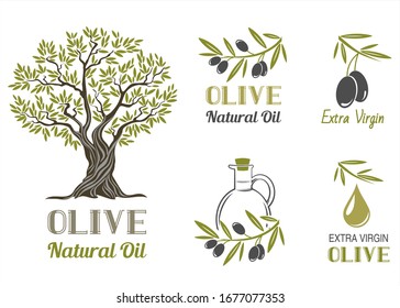 Vector set of olive oil  labels. Olive tree, branches and drop