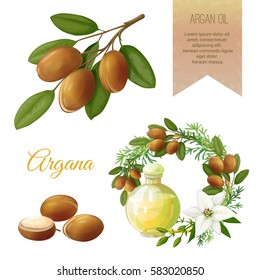 Vector set on Argan, its fruits and its application. Argan oil. Frame and Label. It achieved in a realistic style. All objects isolated