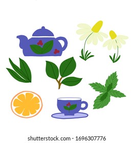 Vector set on a white background of a cup, teapot, tea leaves, mint and chamomile. For menu design, packaging, wallpaper.