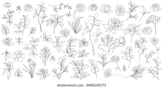 Vector set of one line art flowers, continuous monoline plants, roses, leaves, branches. Blossom logos, minimalist illustration. Simple sketch, black and white. Use as floral icons and logos