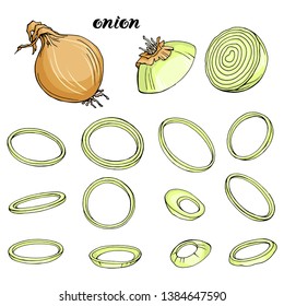 Vector set with onion . Whole bulbs and cutted in pieces and rings. Isolated on white elements for food design.
