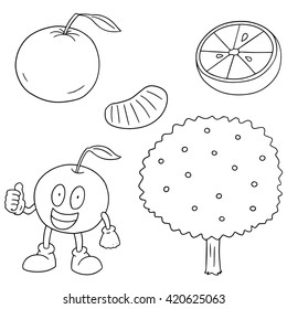 vector set of orange