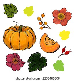 vector set of orange pumpkin, wild rose and leaves	
