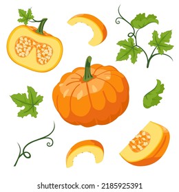 Vector set of orange pumpkins isolated on a white background