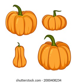 Vector set of orange pumpkins on white background.