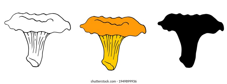 Vector set of orange-colored edible chanterelle mushrooms with a black outline on a white background, silhouette and contour isolated elements on a white background.painted chanterelles in a realistic