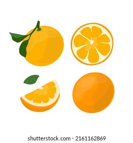Vector set with oranges fruits, fruit's slices and leaves.