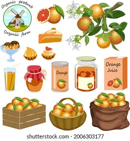 Vector set with oranges.Oranges and products from them in a color vector set.