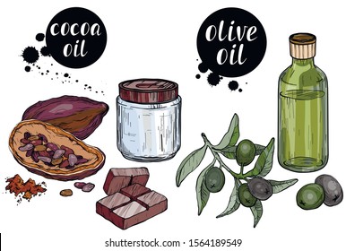 Vector set of Organic ingredients for cosmetic care oils. Cocoa butter and olive oil. Use for cosmetic products