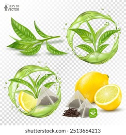 Vector set of organic natural green tea with lemon, citrus flavor. Branch with green leaves. Realistic transparent splash round shape. 3D food illustration isolated on white background