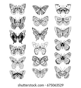Vector set of ornament butterflies line art. 