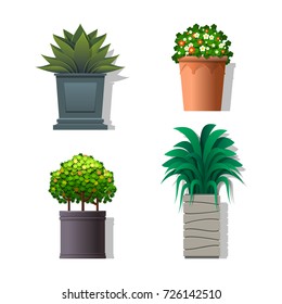 Vector set of outdoor potted plants. Isolated on white. Flat style.