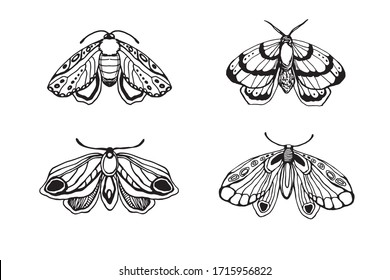 vector set of outline black butterfly isolated on white background