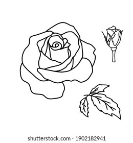 Vector set of outline blooming Rose petal, flower and leaves isolated on white background. Hand drawn rose décor elements. Floral silhouettes. Graphic elements for cut, print, logo, monograms. 
