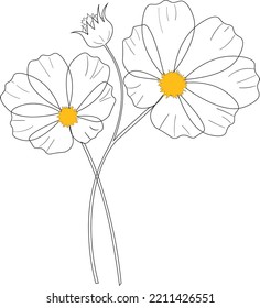 Vector set with outline Cosmos or Cosmea flower bunch, ornate leaf, and buds in black isolated on white background. Pen drawing illustration of cosmos bouquet.