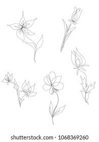 vector set of outline flowers, single line art