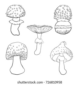 Vector Set Outline Illustrations Fly Agarics Stock Vector (Royalty Free ...