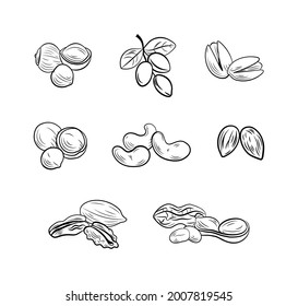 Vector set of outline nut drawings, illustration templates, icons isolated on white background.