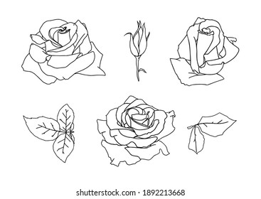 Vector set of outline Roses flowers isolated on white background. Hand drawn rose petals and leaves. Floral silhouettes. Graphic elements for cut, print, logo, monograms. 