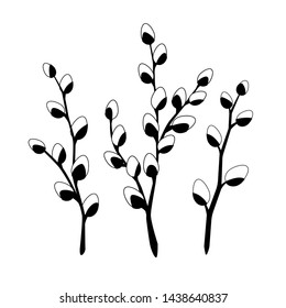 Vector set with outline Willow twigs in black isolated on white background. Branch with blooming pussy Willow in contour style for springtime design and Easter coloring book.