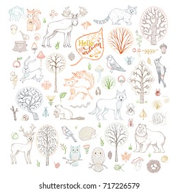 Vector set of outlined autumn forest trees, animals, birds and insects. Adorable beaver, deer, fox, hedgehog, owl, rabbit, raccoon, snail, squirrel, bee, ant, mushroom, ladybug, elk, acorn, chestnut.