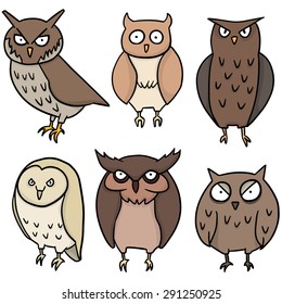 vector set of owl