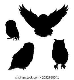 Vector Set of Owl Silhouette Illustrations. Different Types of Owl.