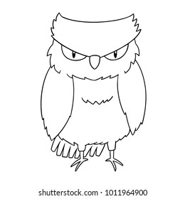 vector set of owls