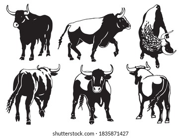 Vector set of oxen isolated on white background,ink pen illustration
