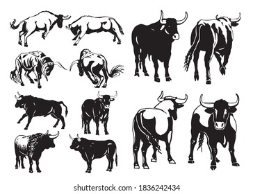 Vector Set Oxen Isolated On White Stock Vector (Royalty Free ...