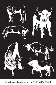 Vector set of oxen on black background, engraved illustration