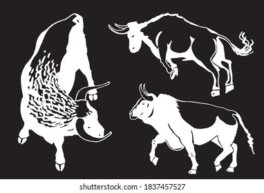 Vector set of oxen on black background, engraved illustration