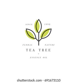 Vector set of packaging design template and emblem - beauty and cosmetics oil - tea tree. Logos in trendy linear style
