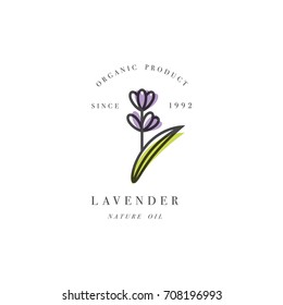 Vector set of packaging design template and emblem - beauty and cosmetic oil - lavender. Logo in trendy linear style