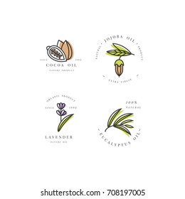 Vector set of packaging design templates and emblems - beauty and cosmetics oils - cocoa, lavender, jojoba and eucalyptus. Logos in trendy linear style